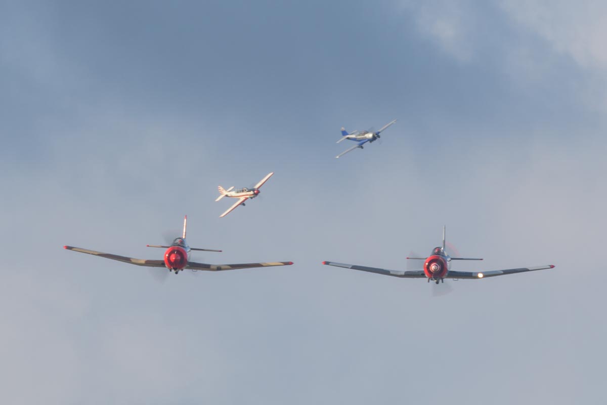 Nanchang CJ-6A VH-CJX "China Doll" and VH-NNG "Madam Chang" performing an aerobatic display.