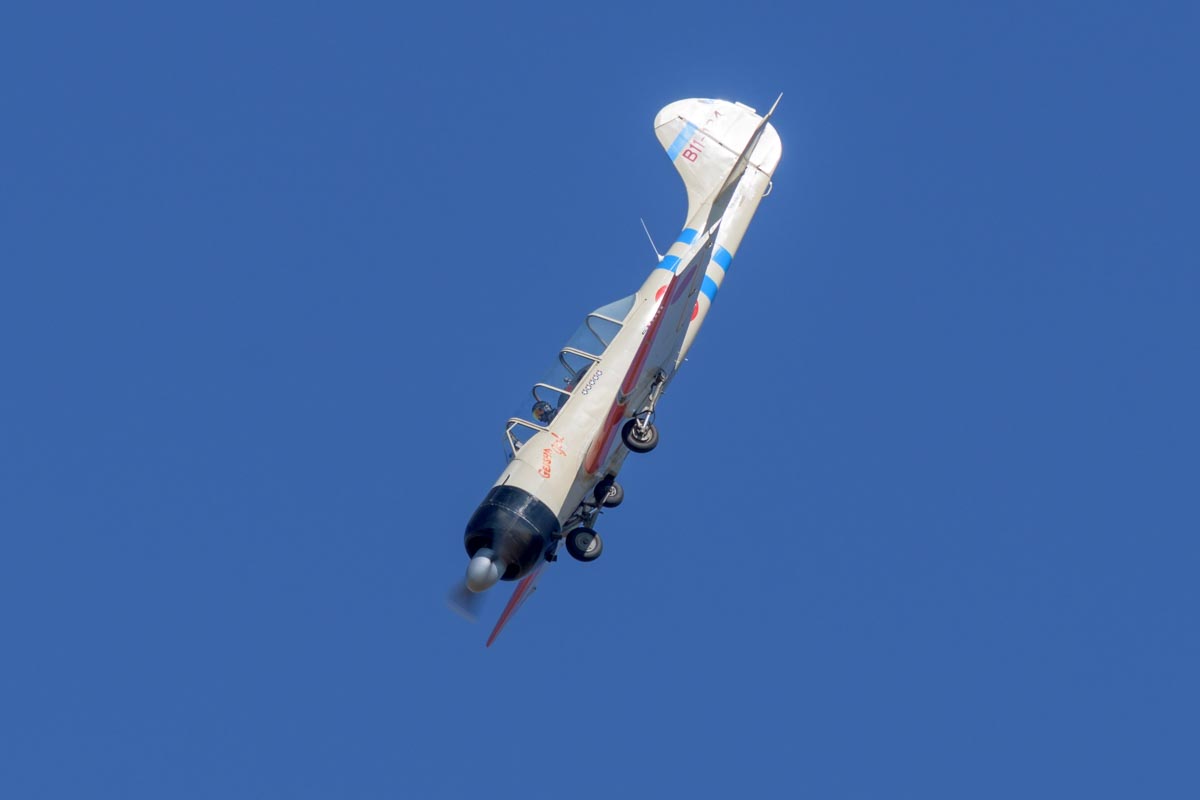 Yakovlev Yak-52 VH-YNO "Geisha Girl" during its flying display at the Lismore Aviation Expo 2018 airshow.