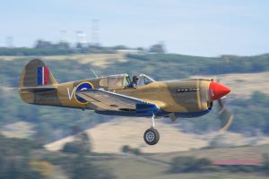 Curtiss P-40E Kittyhawk Mk IA VH-KTY takes off with undercarriage still retracting at the Lismore Aviation Expo 2018 airshow.